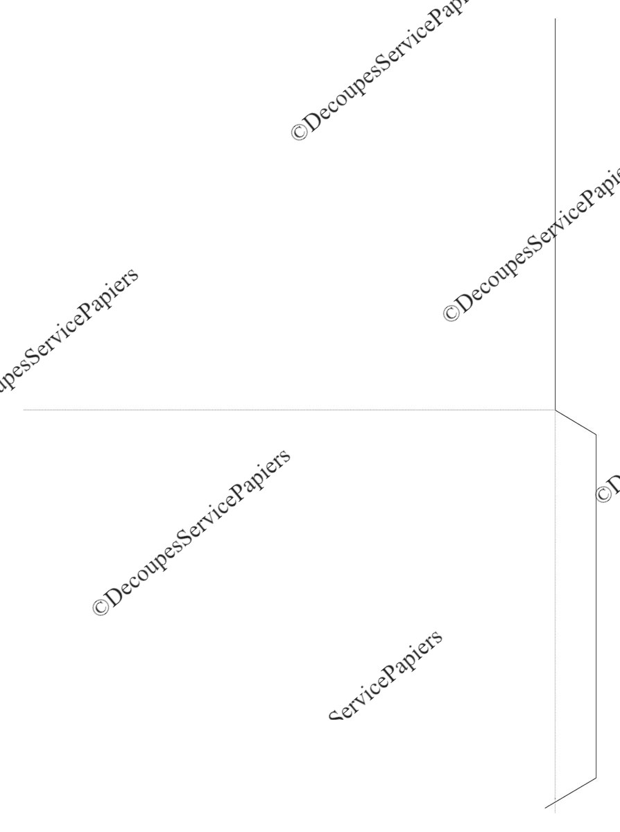 CHEMISE F 240 X 320 O 480 X 320.jpeg